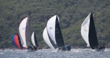 the black prince gbr2187l banshee gbr9470r triple elf irl37296 ss19 fri gjmc2613w